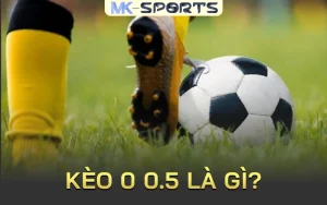 Kèo 0 0.5 là gì? tại Mk sport